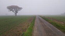 20211114_074816.jpg