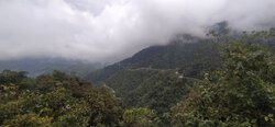 IMG_20211202_144434.jpg