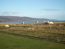 DSCF6311.JPG