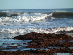 DSCF6319.JPG