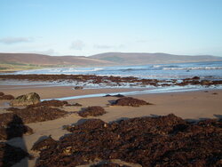 DSCF6320.JPG