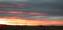 DSCF6322.JPG
