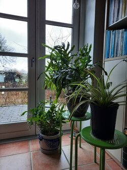 20220109_101158.jpg