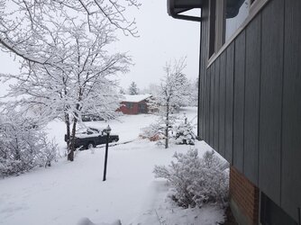 20220121_091300.jpg