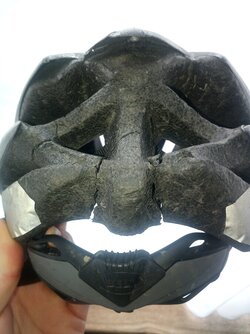IMG_20220130_105636_401.jpg