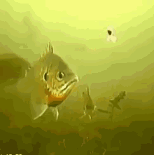 74DE0453-AC5F-42BA-9027-61771CEBB847.gif