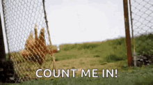6B7C0256-0B18-438B-AD64-B8E9D4A949FF.gif