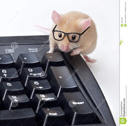 technical-support-computer-mouse-repair-16819908.jpg