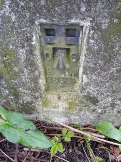 IMG_20220409_080316897.jpg