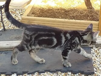 20210810_174354.jpg
