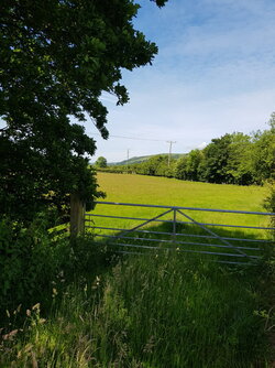 20220615_104701.jpg