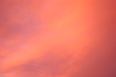 DSC_0192.JPG