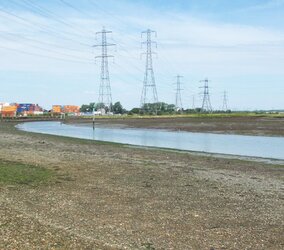 totton.jpg