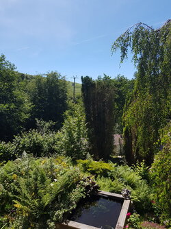 20220709_122215.jpg