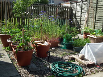 DSCF6629.JPG