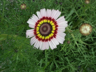 DSCF6581.JPG