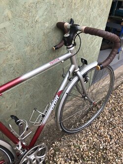 IMG_1439.jpeg IMG_1439.jpeg