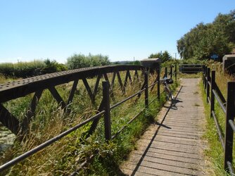 220709-9030 NCN S&D Girder bridge River Brue-sovereign.JPG