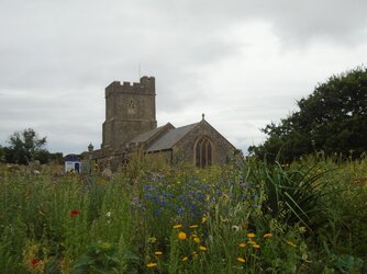 220723-9357 Berrow St Mary-view from E across wild flower patch.JPG