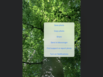 4D5BDB85-4959-48A7-B253-74F471076F49.png