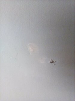IMG_20220811_171959.jpg