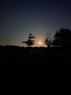 20220811_221618.jpg