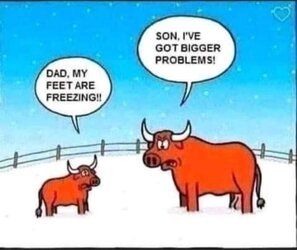 FB_IMG_1661104673427.jpg