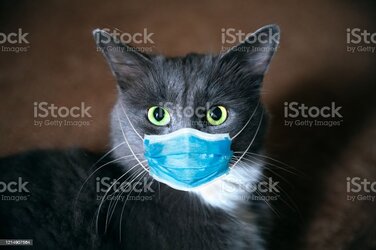 istockphoto-1214907564-1024x1024.jpg