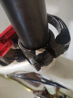 IMG_20221126_101619.jpg IMG_20221126_101619.jpg