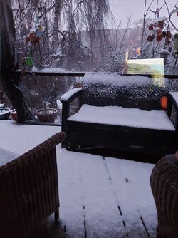 20221210_074903.jpg