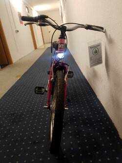 2023_01_11_Tinybug_Bike_02.jpg