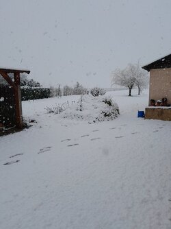 20230117_141530.jpg