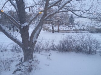 20230118_074736.jpg