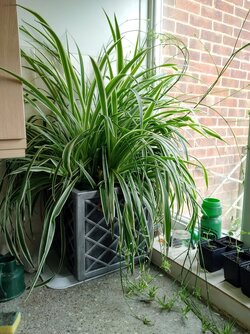 IMG_20230419_081549_HDR.jpg