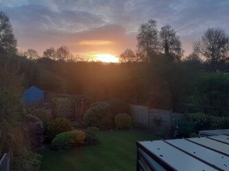20230424_060840.jpg