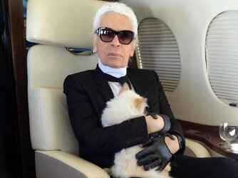 1_Karl-Lagerfeld.jpg