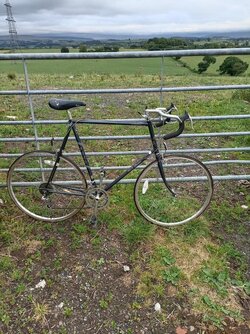 Fuji allegro shop road bike