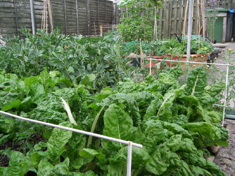 DSCF6685.JPG
