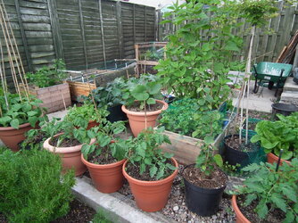 DSCF6691.JPG