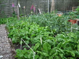 DSCF6684.JPG