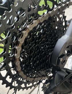 IMG_3081.jpeg IMG_3081.jpeg