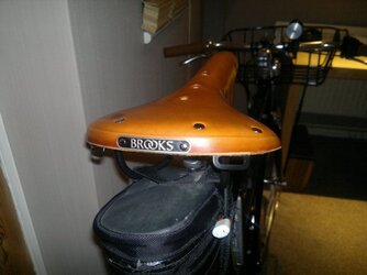11022012387.jpg