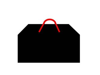 bike bag.jpg