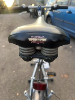 IMG_0234.jpeg