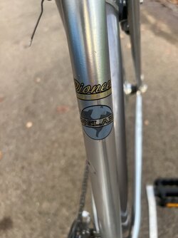 IMG_0239.jpeg