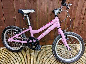 Ridgeback melody 16 deals pink