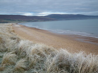 DSCF6078.JPG