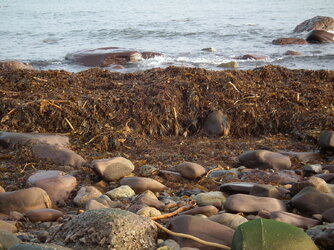 DSCF6075.JPG