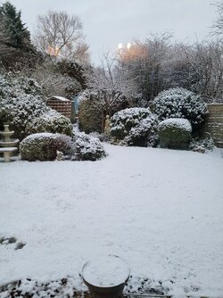 20240116_082133.jpg