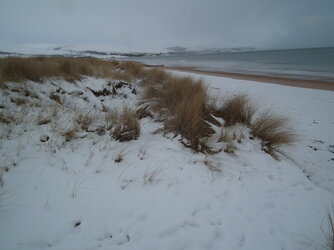 DSCF6097.JPG
